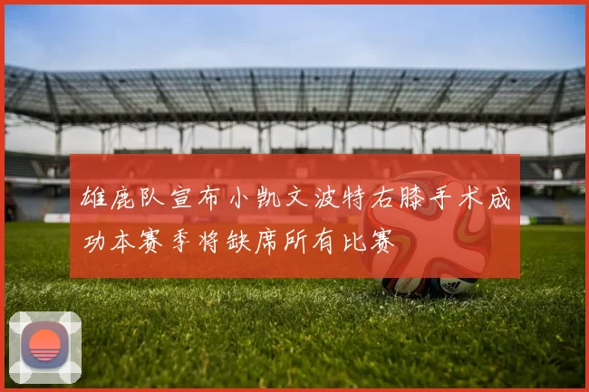 雄鹿队宣布小凯文波特右膝手术成功本赛季将缺席所有比赛