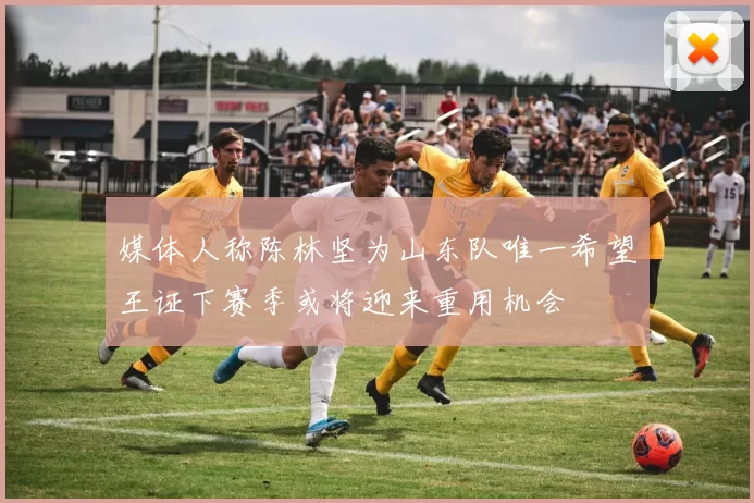 媒体人称陈林坚为山东队唯一希望王证下赛季或将迎来重用机会