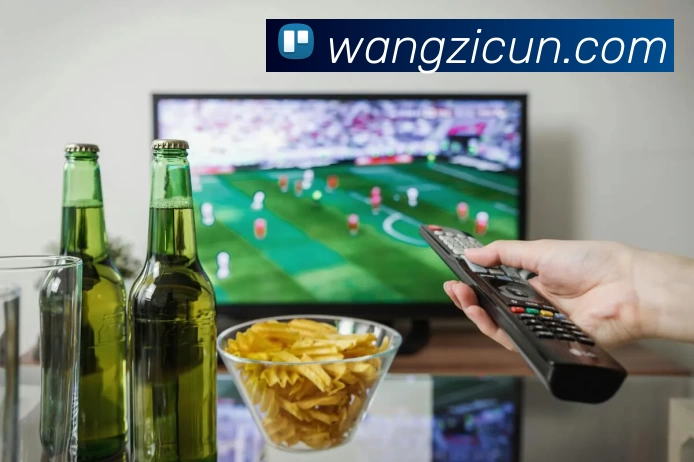 亚星yaxin222官网品牌故事